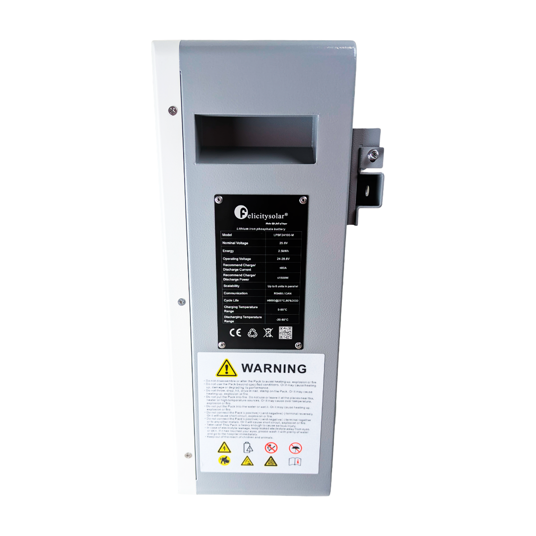 Акумуляторна батарея LPBF24100-M Felicity LiFePO4 2,5kWh 25,6V 100Ah - Зображення 3
